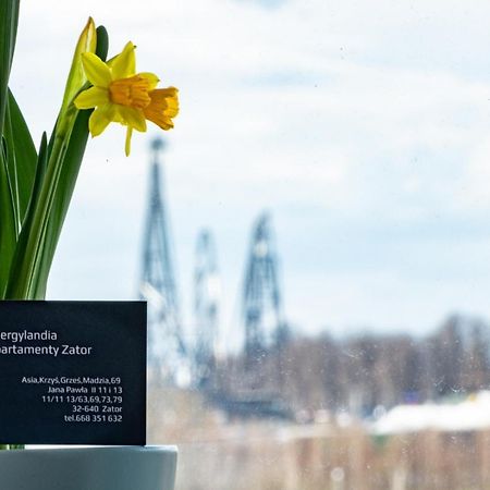 Energylandia Zator Apartament Grzes Экстерьер фото